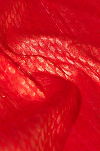Red Pure Silk Cutwork Bengal SareeWith Unstitched Blouse( SHG08H00444-Red)
