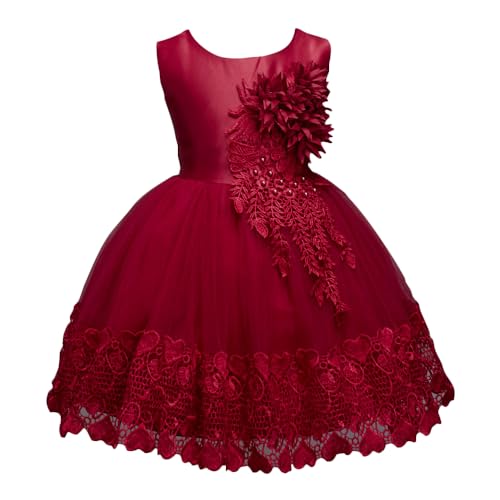 Hopscotch Girls Floral Applique Sleeveless Slim Fit Party Dress in Red Color for Ages 3-4 Years