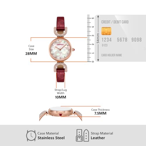 Emporio Armani Burgundy Watch AR11737