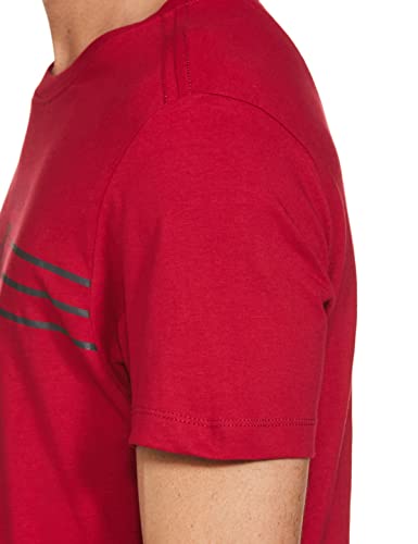 US Polo ASSN. Half Sleeve Round Neck T Shirts, L (USTSHS1371_Red_L)