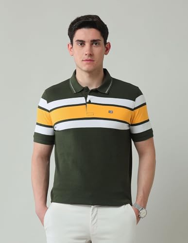 Arrow Sports Men's Striped Regular Fit Polo Shirt (ASAJTS3407_Olive