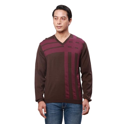 Park Avenue Men's Regular Fit Acrylic Wool Blend Full Sleeve V Neck Checks Pattern Dark Brown Casual Sweater (Size: S)-PCWA00267-O8