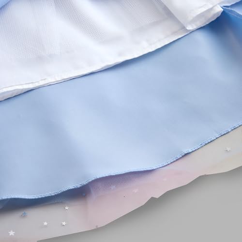 Hopscotch Girls Butterfly Applique Gown in Blue Color for Age (2-3 Years)