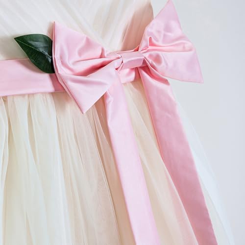 Hopscotch Girls Cream Sleeveless Floral Applique Bow Dress for Age (9-12 Months)