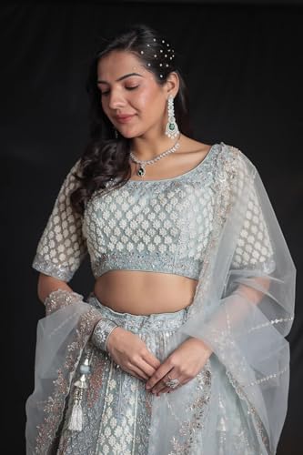 Women's Net Lehenga with Threadwork and Embellished Detailing