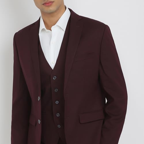 Park Avenue Men Modern Slim Fit Solid Pattern Terylene Rayon Blend Notch Lapel Full Sleeve Ceremonial Suit Maroon