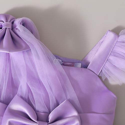 Hopscotch Girls Lilac Short Sleeves Floral Applique Party Dress for Age (3-4 Years)