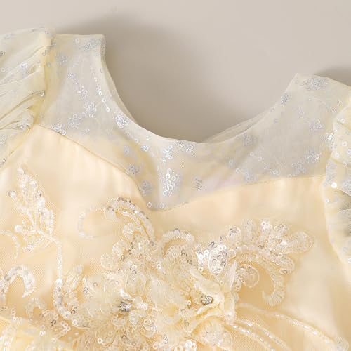 Hopscotch Girls Floral Applique Gown in Beige Color for Age (2-3 Years)