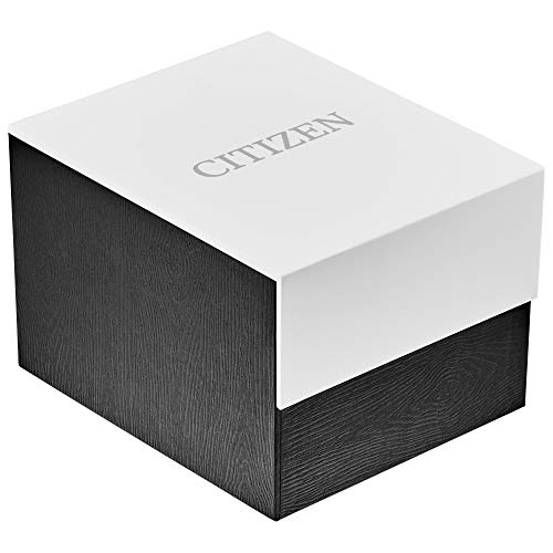 Citizen Corso Eco-Drive Ladies Watch