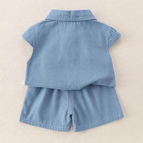 Hoscotch Boys Solid Blue Short Sleeves Short Set For Ages(2-3 Years)