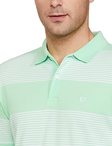 Allen Solly Men's Regular Fit T-Shirt (ASKPCURGFB22826_Light Green L)