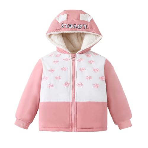 Hopscotch Girls Pink Full Sleeves Embroidered Colourblock Jacket For Age (2-3 Years)