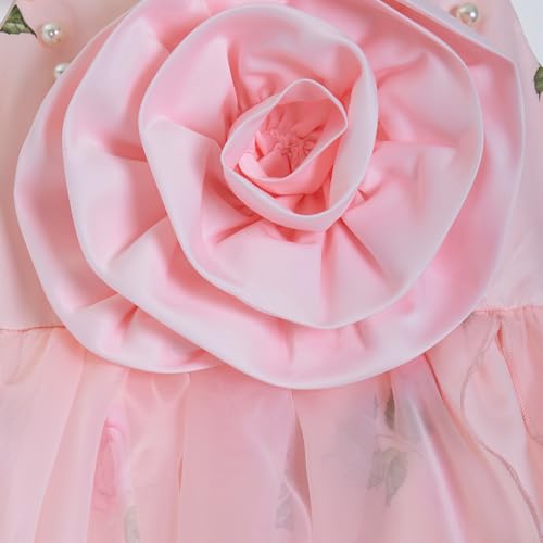 Hopscotch Girls Pink Sleeveless Floral Applique Gown for Age (18-24 Months)