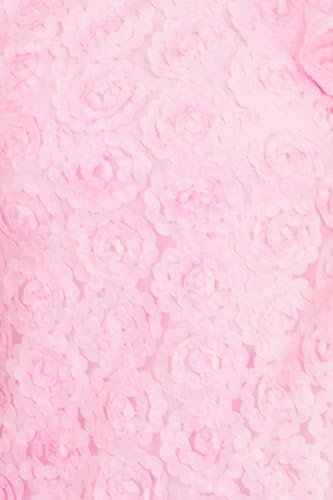 Allen Solly Girl's Regular Fit Blouse (AGTSKRGFA45427_Pink