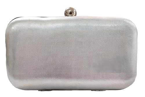 DUCHESS Women's & Girls Embroidered Floral Handle Clutch for Party Wedding (Silver)