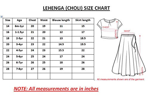Stanwells Kids Gilrs Lehnga Choli Ruffle Pattern Dress Puff Sleeves Beautiful Ethnic Hand Sequins Embroidery Beautiful Flower Front Traditional Knee Length (SkyBlue & Pink)(12-24months)