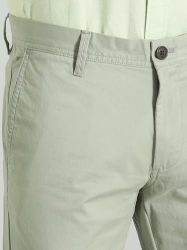 Indian Terrain Brooklyn Fit Stretch Cotton Trouser for Men, Ash Green, 30