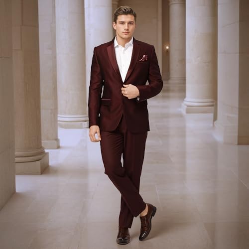 Raymond Ethnix Mens Wine Two-Piece Suit