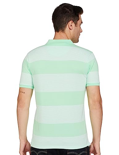 Allen Solly Men's Regular Fit T-Shirt (ASKPCURGFB22826_Light Green L)