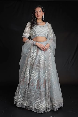 Women's Net Lehenga with Threadwork and Embellished Detailing