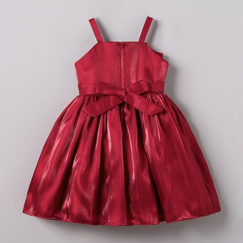 Hopscotch Girls Burgundy Sleeveless Floral Applique Party Dress for Ages (3-4 Years)