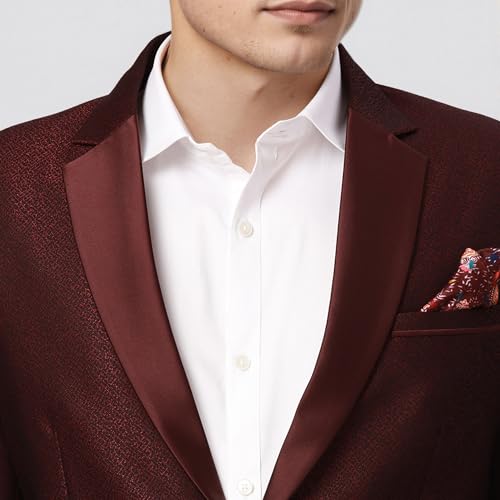Raymond Ethnix Mens Wine Two-Piece Suit