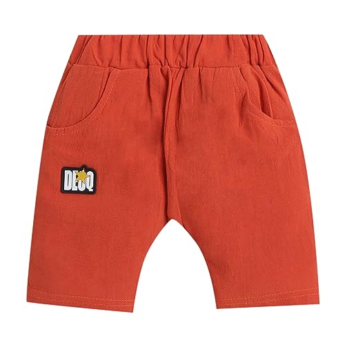Hopscotch Boys Cotton and Spandex Animal Print Shirt And Shorts Set in White Color For Ages (3-4 Years)