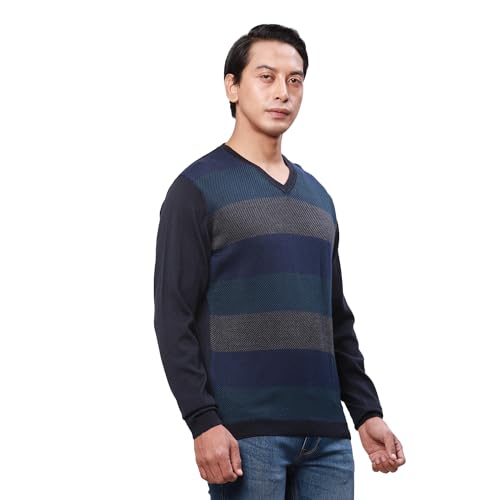 Park Avenue Men's Regular Fit Acrylic Wool Blended Stripe Pattern V Neck Full Sleeve Casual Sweater (Size: 85)-Pcwa00268-B9,Blue