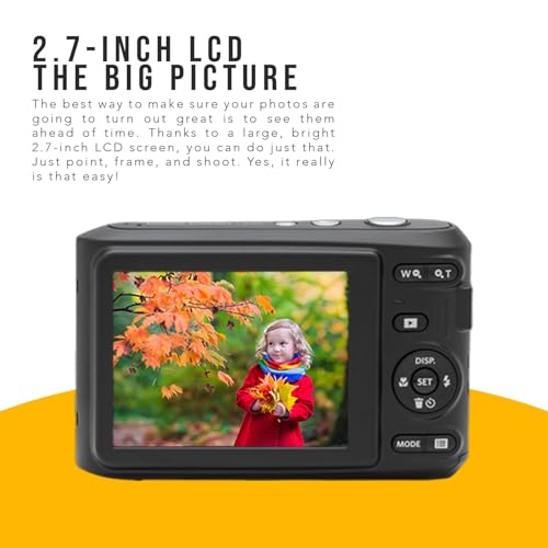 Kodak PIXPRO FZ45 Friendly Zoom Digital Camera (White) Bundle with 32GB Memory Card, Travel Organizer and Storage Case, Alkaline Batteries, and SD Reader (5 Items)