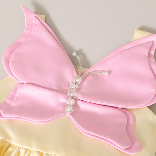 Hopscotch Girls Yellow Sleeveless Butterfly Applique Party Dress for Age (18-24 Months)