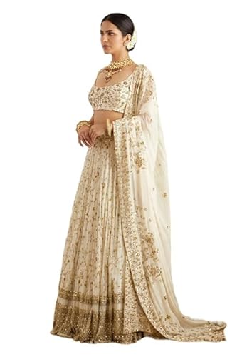 JIHU CULTURE White Georgette Embroidery Work Dupatta For Women (White)