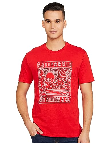 Levi's Men's Regular Fit T-Shirt (16960-1078_Red