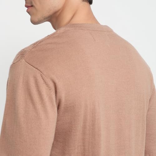 Colorplus Men Regular Fit Solid Pattern Merino Wool Acrylic Blend Full Sleeve V Neck Casual Sweater