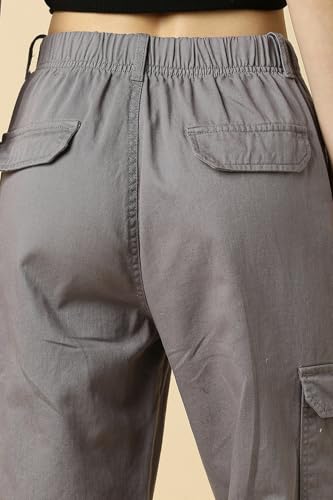 Allen Solly Women's Regular Casual Pants (AHTFCRGFU40117_Grey