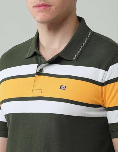 Arrow Sports Men's Striped Regular Fit Polo Shirt (ASAJTS3407_Olive