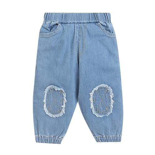 Hopscotch Boys Cotton Animal Printed Tee, Jacket And Pant Set In Blue Color For Ages 2-3 Years (YUE-3115217)