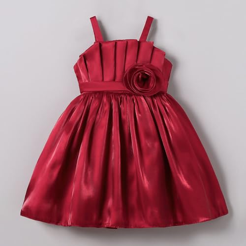 Hopscotch Girls Burgundy Sleeveless Floral Applique Party Dress for Ages (3-4 Years)