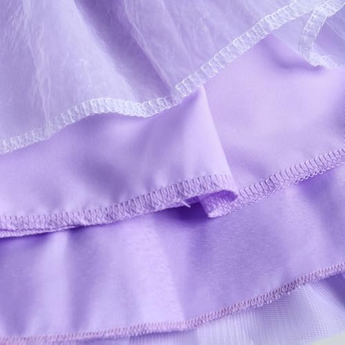 Hopscotch Girls Purple Sleeveless Floral Applique Ruffled Dress For Age (12-18 Months)