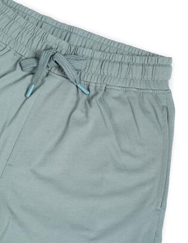 U.S. POLO ASSN. men's Hybrid Shorts (LS002-PL_Lt Green