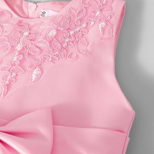 Hopscotch Girls Pink Sleeveless Lace Embellished Dress For Age (18-24 Months)