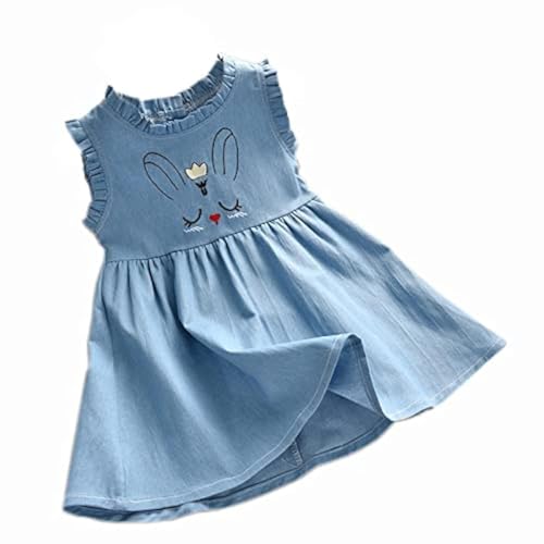 BENKILS Cute Fashion Floral Embroidered Cotton Denim Casual Frocks Dress (5-6 Years, Light Blue)