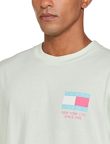 TOMMY HILFIGER Men's Relaxed fit Half Sleeve T-Shirt, Minty, L