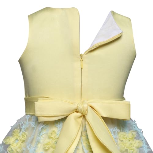 Hopscotch Girls Yellow Sleeveless Floral Applique Party Knee-Length Dress For 70(3-6 Months) (Srs-1868932)
