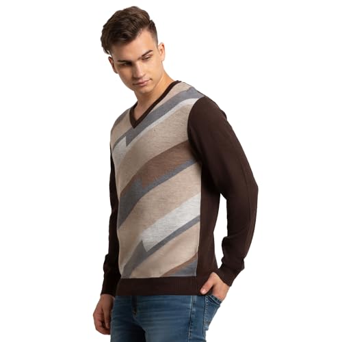 Colorplus Tailored Fit Brown Sweater for Men