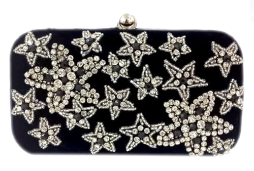 Amerie Fashions Women & Girls Embroidered Black-Silver Clutch Purse for Party Wedding
