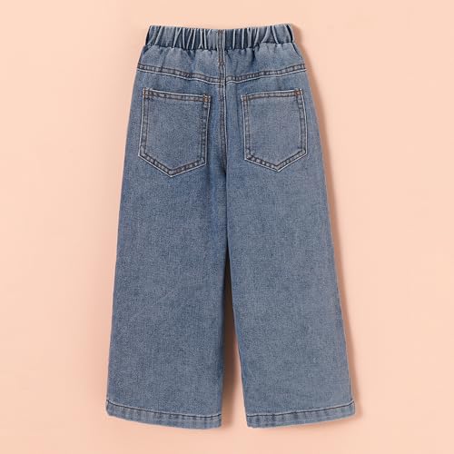 Hopscotch Girls Blue Chenille Embroidered Denim Jeans for Ages (5-6 Years)