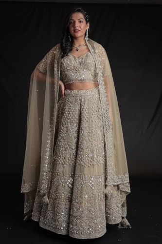 Women's Net Lehenga with Intricate Detailing