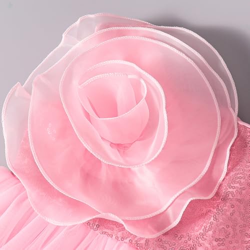 Hopscotch Girls Pink Sleeveless Rosette Sequin Tulle Dress for Ages (18-24 Months)