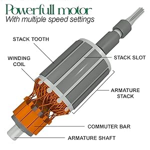 Jaia Fusion Mixer Grinder 550-Watt Mixer Grinder with 3 Jars Liquidizing Wet Grinding and Chutney Jar Stainless Steel blades 1 Year Warranty (Color- CDGreen)