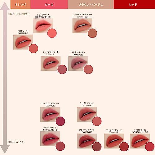 ETUDE Fixing Tint| Long Lasting High Pigmented Liquid Lipstick |Waterproof Lightweight Matte Finish Lip Stain| Full Coverage| #12 Salmon Brick-4g (Pack of 2)